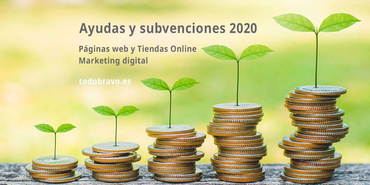 ayudas-subvenciones-diseno-web-marketing-digital-2020-featured-2